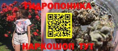 spice Усть-Илимск