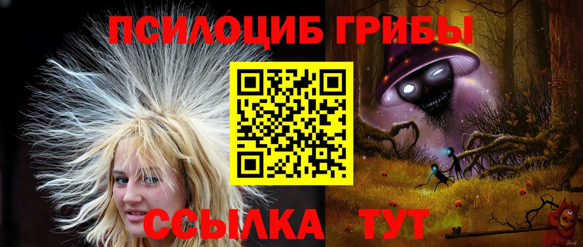 Галлюциногенные грибы мицелий  как найти закладки  Миллерово  Псилоцибиновые грибы мицелий  Вход с VPN 